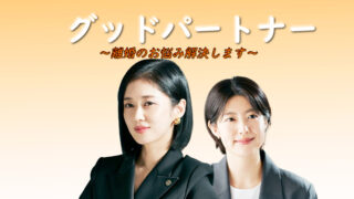 韓国ドラマ-グッド・パートナー~離婚のお悩み解決します~